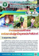 3 พฤษภาคม 2567 กิจกรรมรณรงค์ทำลายแหล่งเพาะพันธุ์ลูกน้ำยุงลายประจำสัปดาห์ ภายใต้การนำของ นางณิชมน รัตนคช สาธารณสุขอำเภอทุ่งใหญ่ มอบหมายให้ เจ้าหน้าที่โรงพยาบาลส่งเสริมสุขภาพตำบลบ้านคลองเพรียง พร้อมด้วย อาสาสมัครสาธารณสุขประจำหมู่บ้านของโรงพยาบาลส่งเสริมสุขภาพตำบลบ้านคลองเพรียง ลงพื้นที่เชิงรุกสุ่มสำรวจ และกำจัดแหล่งเพาะพันธุ์ลูกน้ำยุงลายประจำสัปดาห์ในพื้นที่รับผิดชอบของตนเองซึ่งเป็นการสื่อสารความเสี่ยงต่อการเกิดโรคไข้เลือดออก และการเฝ้าระวังการเกิดโรคไข้เลือดออกในพื้นที่ มุ่งเน้นให้ครัวเรือนจัดการตนเองด้วยมาตรการ 3เก็บ 3โรค เพื่อเกิดความยั่งยืนในการป้องกันการเกิดโรค พร้อมทั้งประชาชนในพื้นที่ร่วมกันกำจัดแหล่งเพาะพันธุ์ลูกน้ำยุงลาย